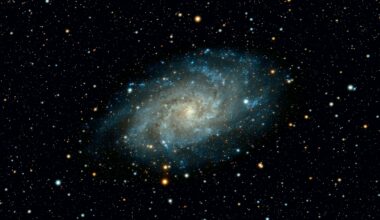 Do 'completely dark' dark matter halos exist?