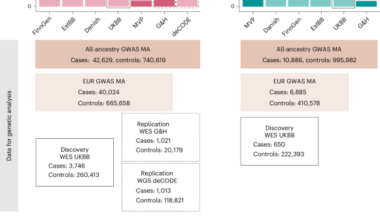 Genome-wide analyses identify 25 infertility loci and relationships with reproductive traits across the allele frequency spectrum