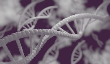 Key genes in Parkinson's disease discovered using CRISPR technology