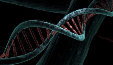 Common genetic variants linked to drug-resistant epilepsy