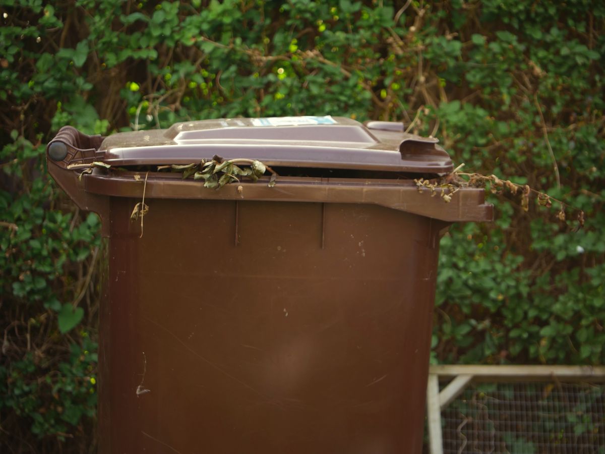 Rubbish bags piled up in front of bins