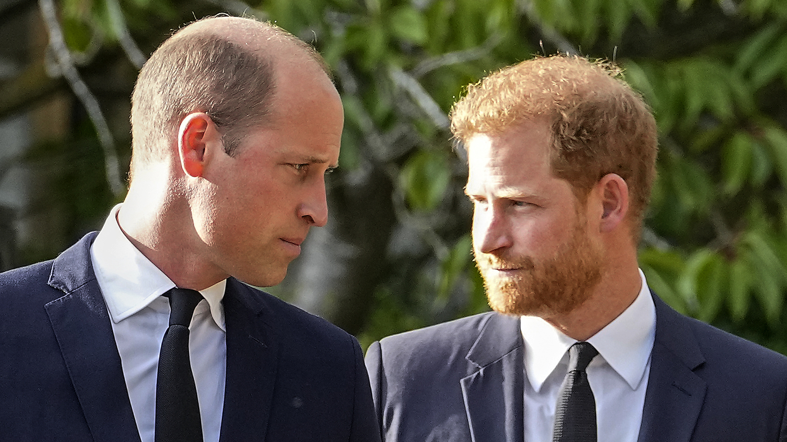 Prince Harry's latest move leaves Prince William ‘fuming’ at palace officials, here's why