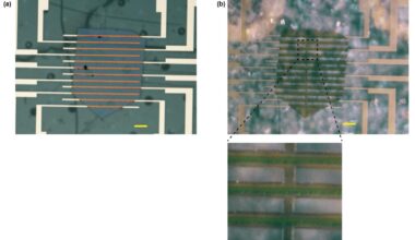 Chirality induces giant charge rectification in a superconductor