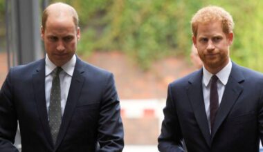 Royal Historian Reveals the Real Reason Behind Prince William and Prince Harry's Rift