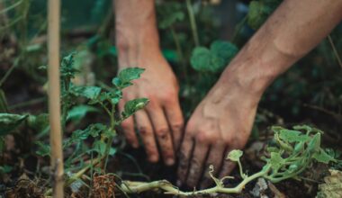 Nature-based activity is effective therapy for anxiety and depression, study shows