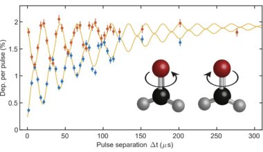 Study realizes symmetry-protected molecular qubits based on cold polyatomic molecules