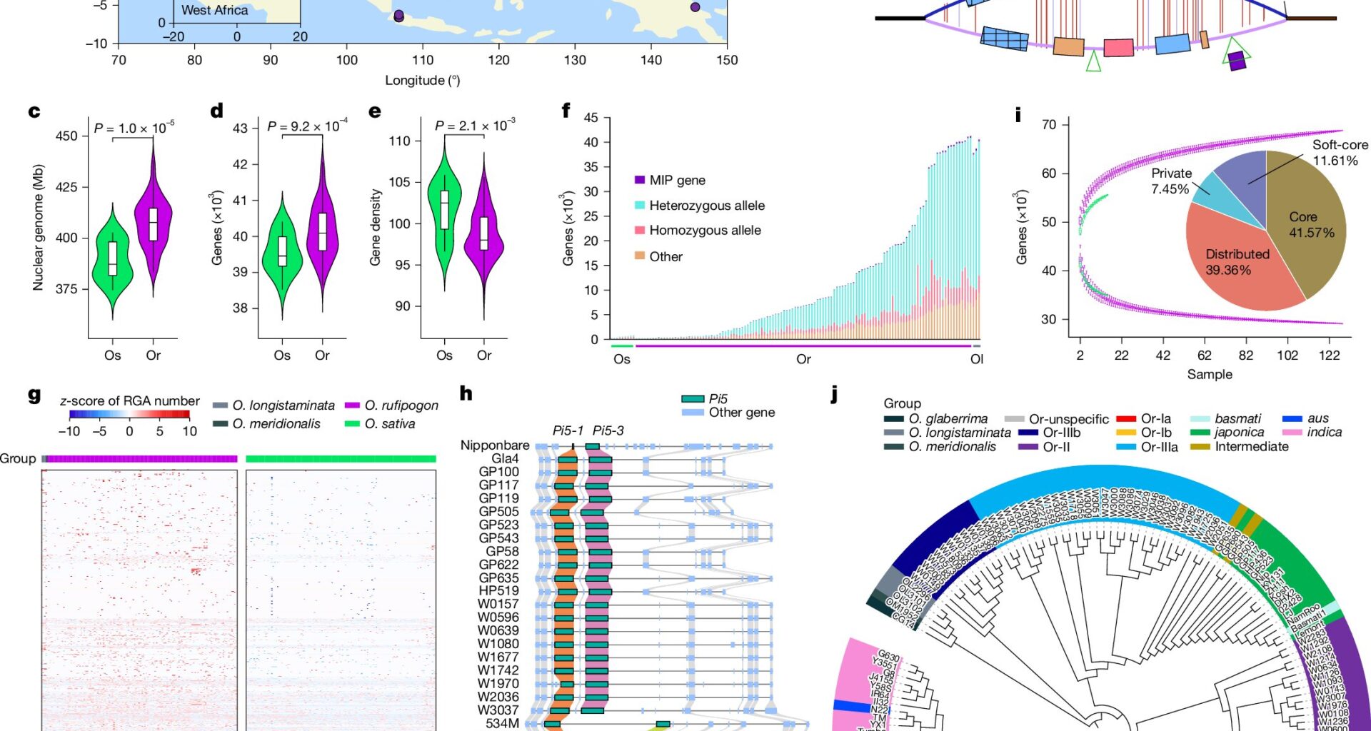 Pangenome study unveils wild and cultivated rice's genetic diversity