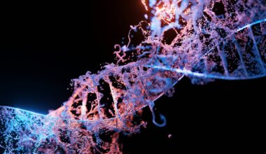 Genetic variant reveals how cleft lip and cleft palate can arise