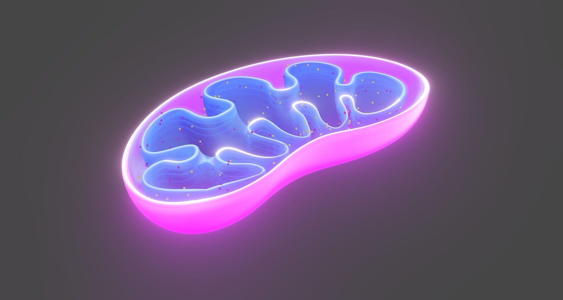 Throwing a 'spanner in the works' of our cells' machinery could help fight cancer, fatty liver disease... and hair loss
