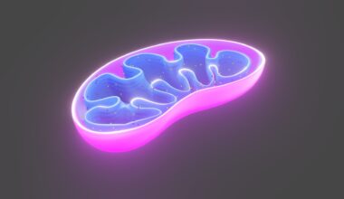 Throwing a 'spanner in the works' of our cells' machinery could help fight cancer, fatty liver disease... and hair loss