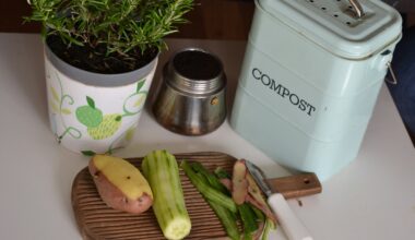 Food waste is a major contributor to climate change. What are the solutions?