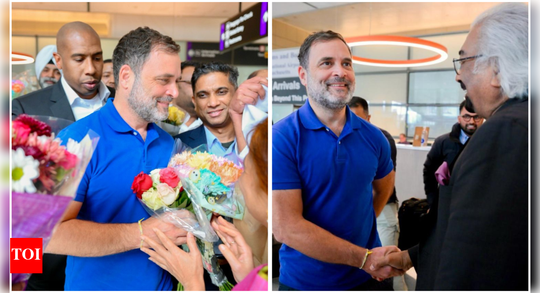 Rahul Gandhi touches down in US: What’s on his two-day agenda? | India News