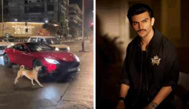 Internet cannot stop laughing as stray dog stops, chases Veer Pahariya's ₹3.8 crore Aston Martin on Mumbai road. Watch | Bollywood