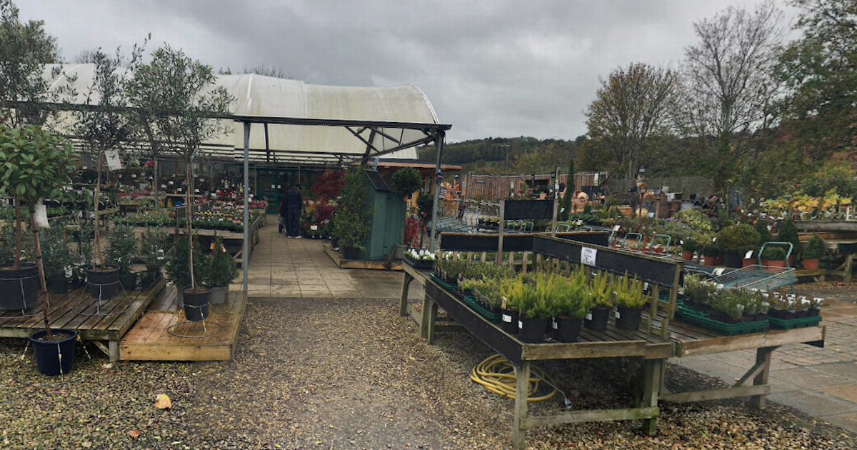 Bristol's best garden centre named as South Bristol location with beloved café