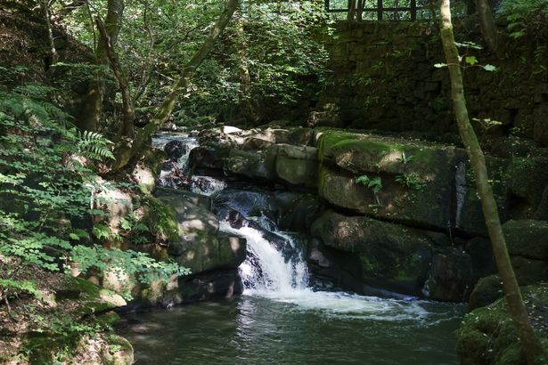 A waterfall in Healey Dell
