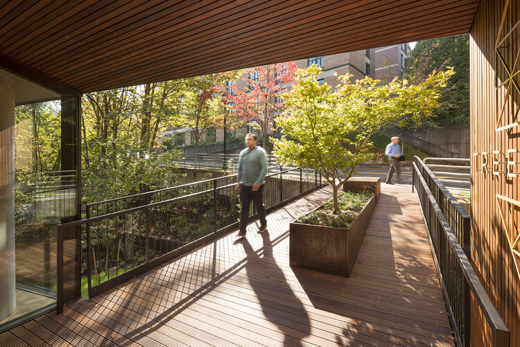 Biophilic Architecture without Plants: Invisible Design for Wellbeing - Image 9 of 9