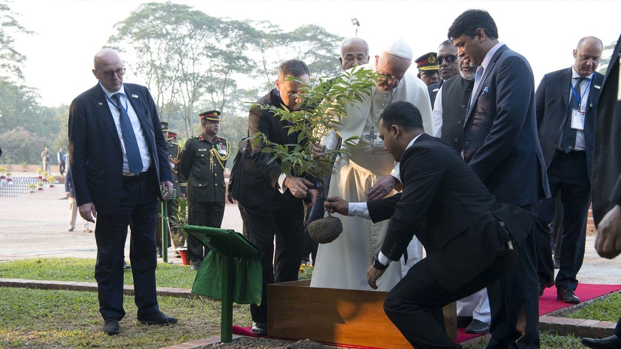 Laudato si’: Pope Francis on the environment
