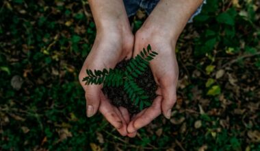 Earth Day 2025: Top events happening in the United States, a complete guide