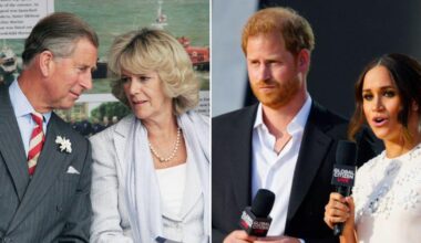Real Reason Why Camilla Allegedly Told Charles She Cannot Stand Harry and Meghan