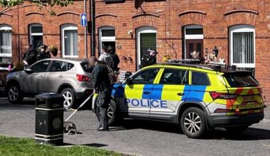 Rutland Street: Woman attacked by dogs at south Belfast house