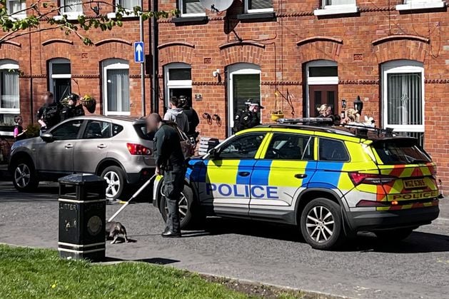 Rutland Street: Woman attacked by dogs at south Belfast house