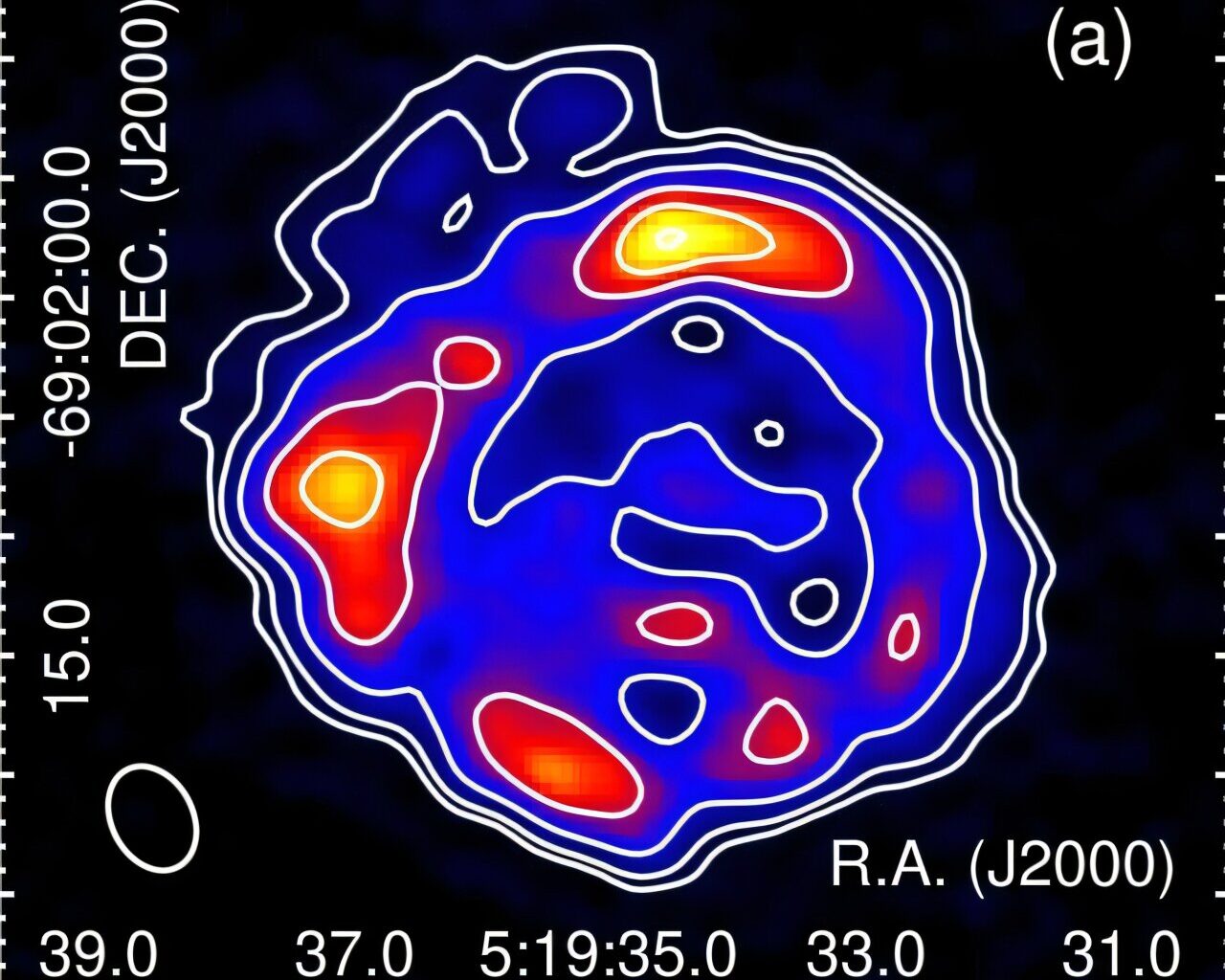 Properties of supernova remnant in nearby galaxy explored in radio continuum study