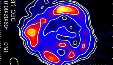 Properties of supernova remnant in nearby galaxy explored in radio continuum study