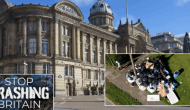 council 'wasted' £53m on consultants ahead of city-crippling bin strike