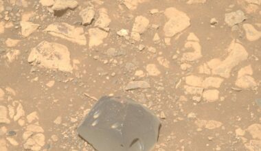 Manchester Evening News