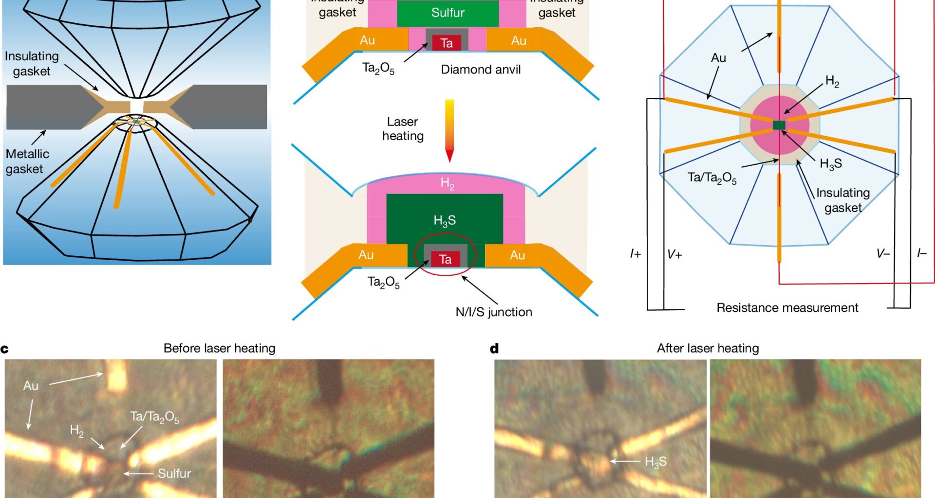 High-pressure electron tunneling spectroscopy reveals nature of superconductivity in hydrogen-rich compounds