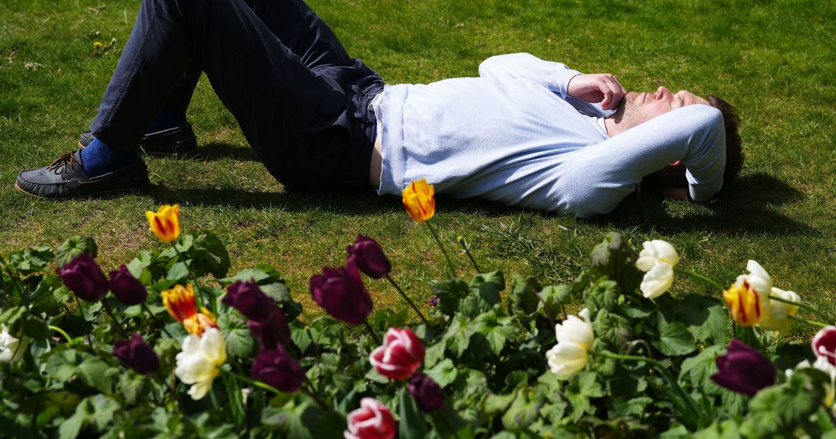 Met Office says UK to be hit with ‘much warmer’ weather due to ‘amplified’ jet stream