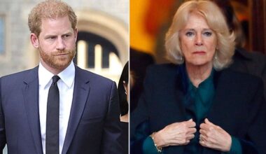 Queen Camilla 'boiling with rage' over thoughts of…