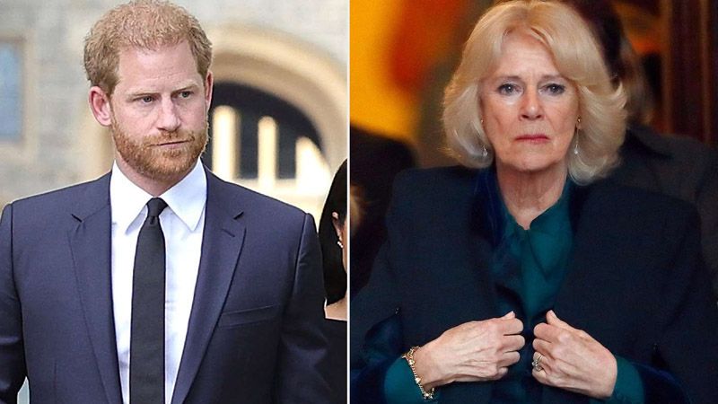 Queen Camilla 'boiling with rage' over thoughts of…