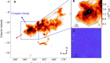 High velocity gas-clump in Milky Way neighborhood may be a dark galaxy