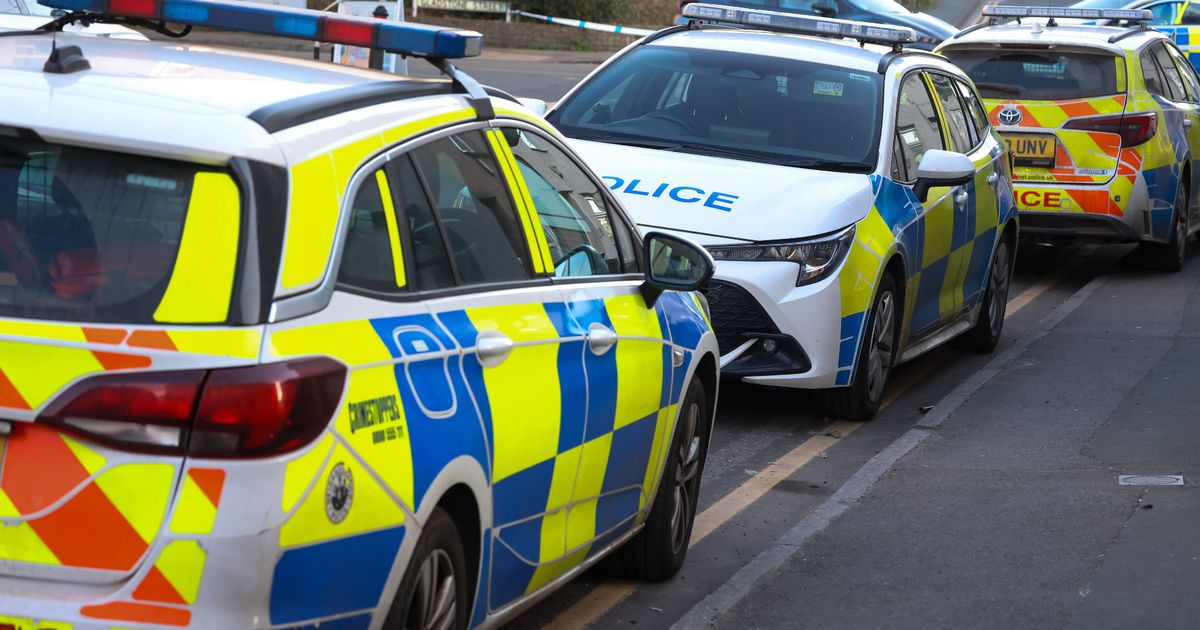 Heavy police presence as man arrested as part of harassment investigation