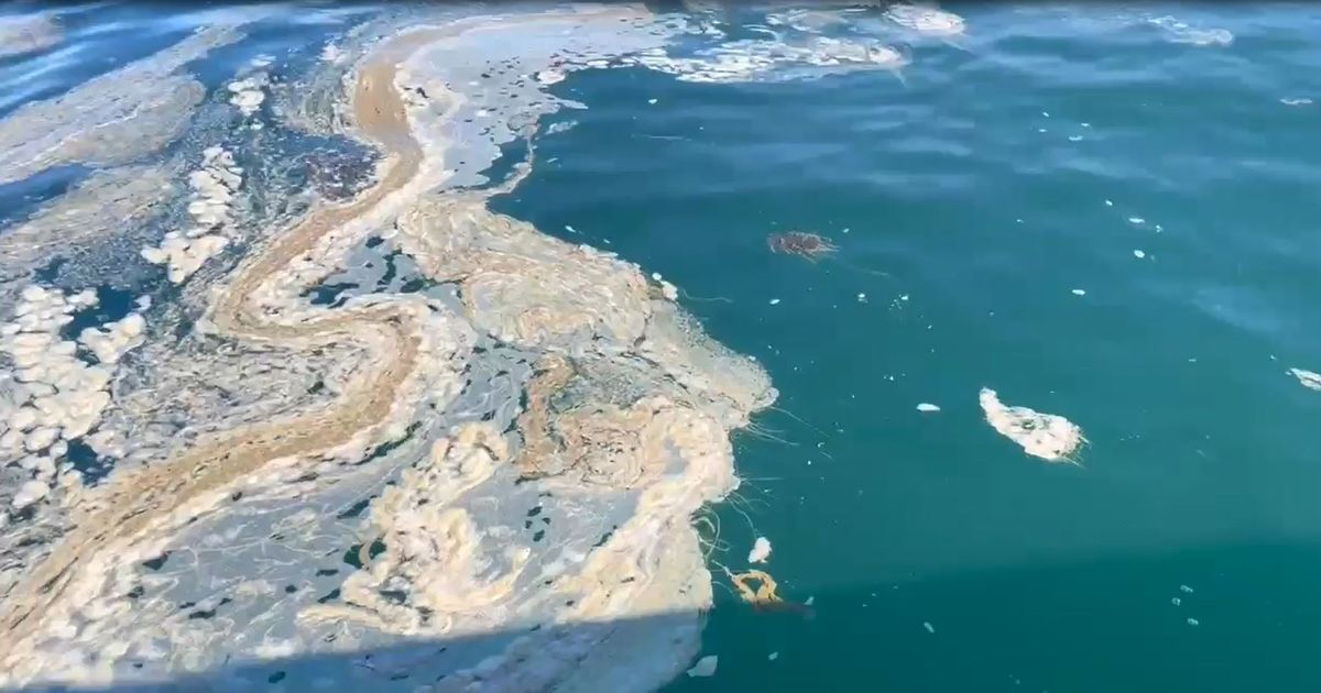 Sewage spilled into Bristol's waterways thousands of times