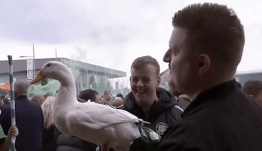 Famous Glasgow duck joins Celtic fans for Parkhead celebrations
