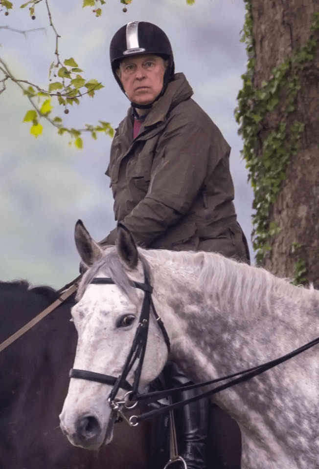 Prince Andrew horseback riding.