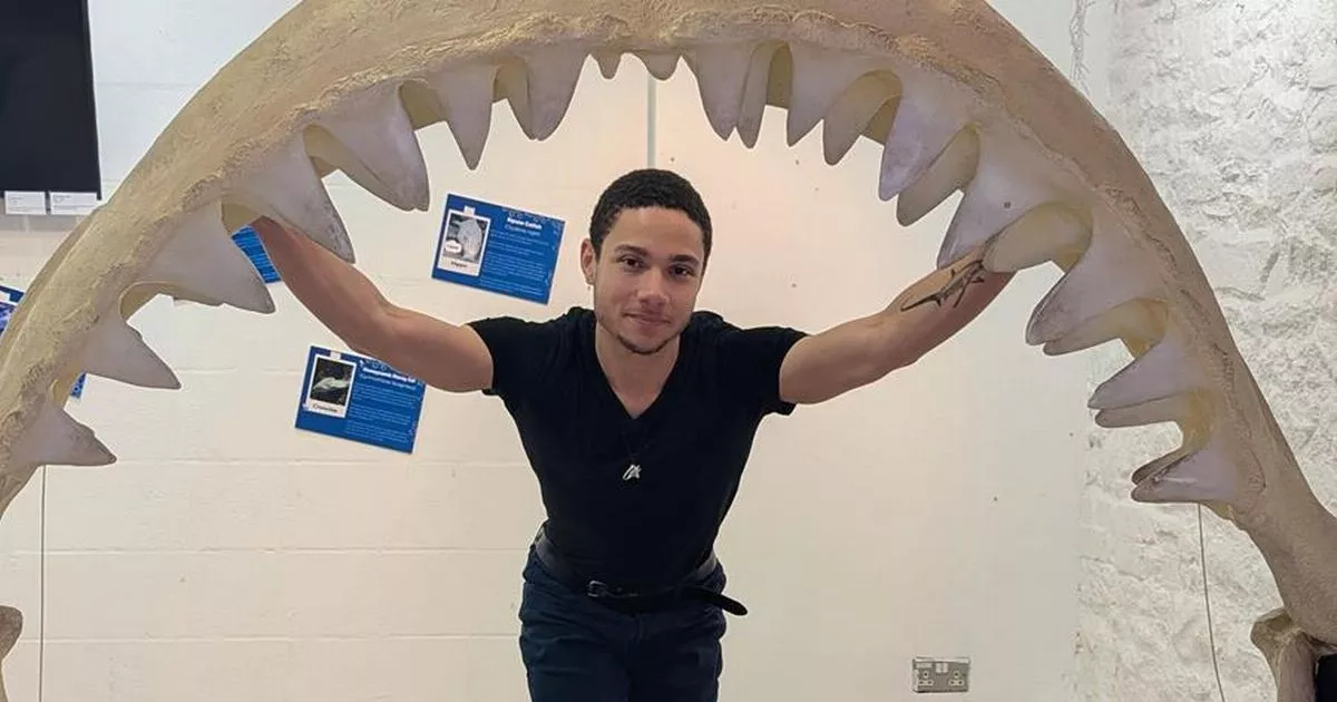 Giant frogs and extinct beasts star in Bristol’s prehistoric sea show