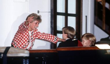 Harry and William Reveal Their Last Words to Mom Princess Diana: 'Can I...'