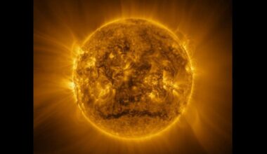 Solar Orbiter Sends Back Jaw-Dropping Image Of Sun’s Corona
