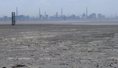 Rare Earths Represent A New Energy Crisis For America