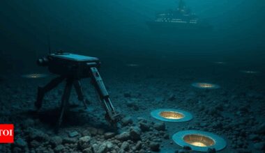 Trump's deep-sea mining order violates global norms: France