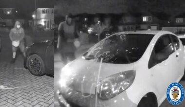 The men were captured on CCTV throwing paint over cars and the front of a house.