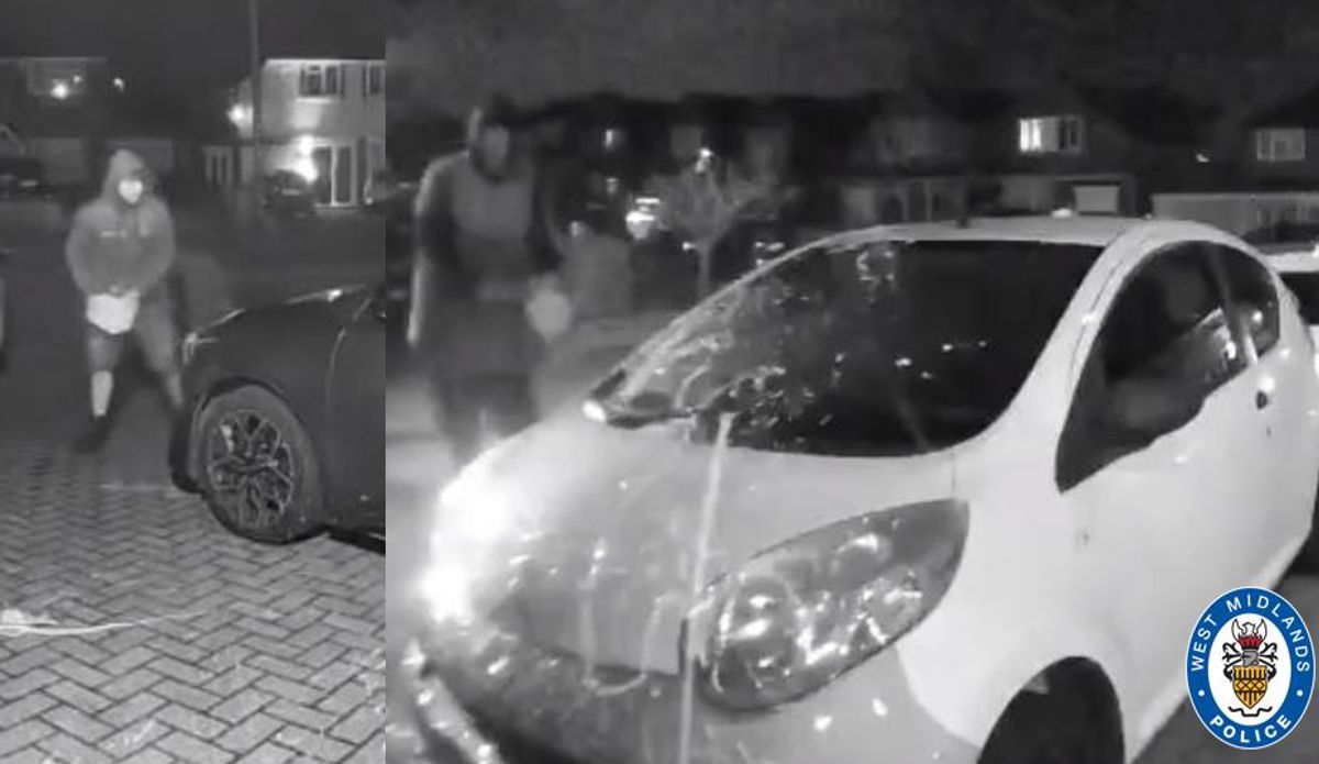 The men were captured on CCTV throwing paint over cars and the front of a house.