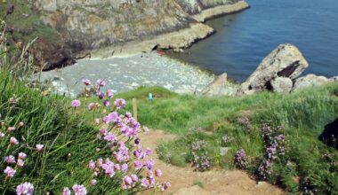 The tiny North Wales beach where you can spot seals all year round