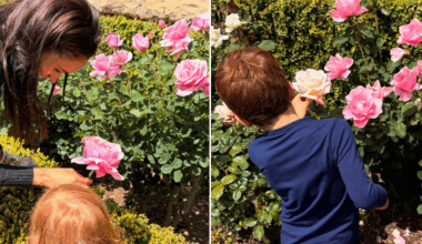 Prince Archie and Princess Lilibet at 'two different schools', Meghan Markle confirms in rare update