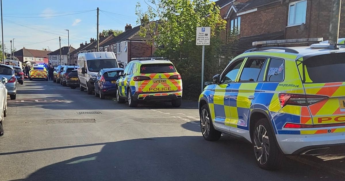 Man seriously injured after being attacked by XL bully in street