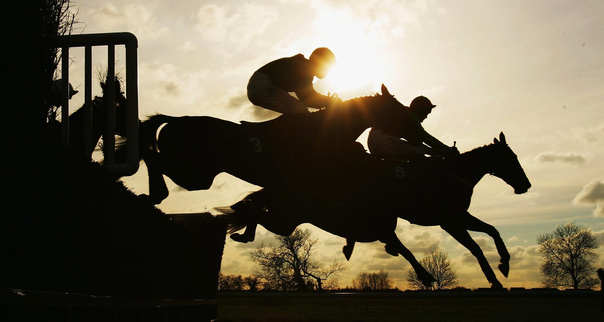 Jockey arrested over car crash that left passenger with serious injuries