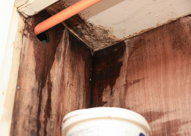 Paul says he uses buckets to leaking water 